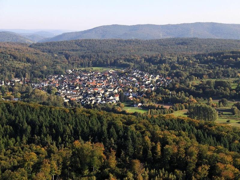 Hotel-Barbarossa-Garni Bei Hanau رودنباخ المظهر الخارجي الصورة